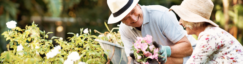 An elderly couple gardening together.